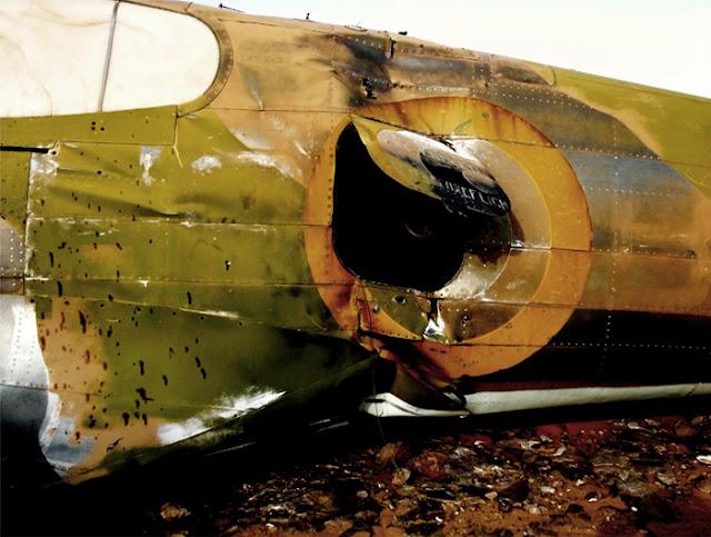 Самолет Кёртисс P-40 спустя 70 лет (25 фото+видео)