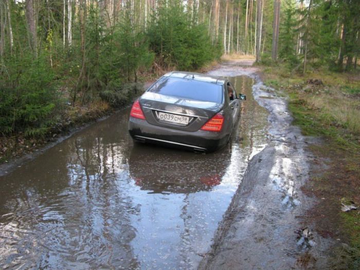 Mercedes-Benz S600 застрял на лесной дороге (4 фото)