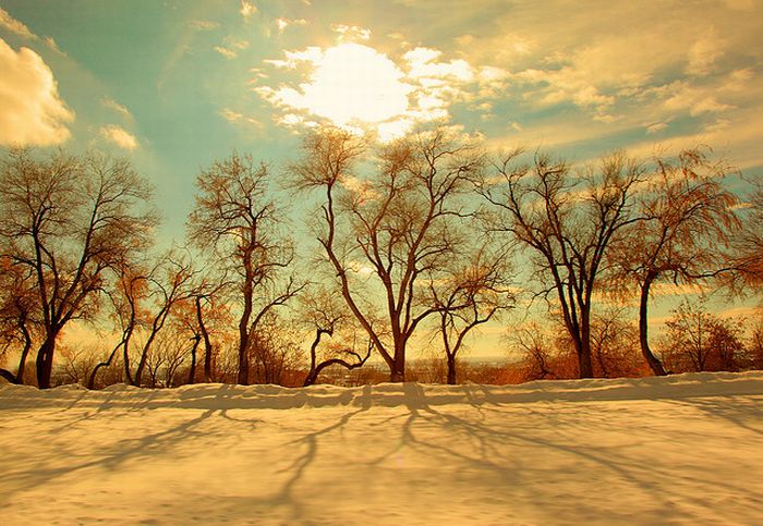 Красивые зимние фотографии (30 фото)