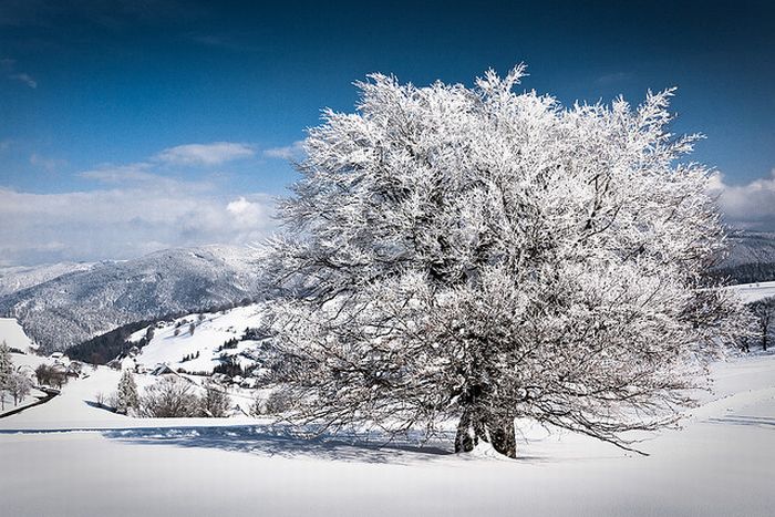 Красивые зимние фотографии (30 фото)