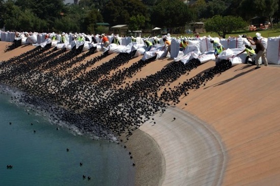 Поверхность водохранилища в Лос-Анджелесе покрыта 400 тысячами чёрных шариков (7 фото + текст)