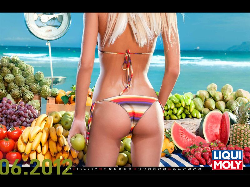 Эротический календарь LIQUI MOLY-2012 (14 фото)
