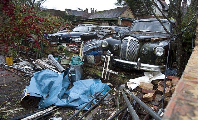 Сборщик мусора на заднем дворе (16 фото)