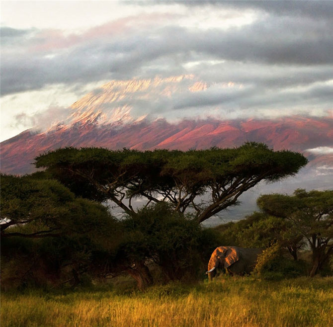 Удивительная Кения (38 фото)
