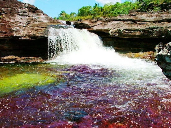 Самая красивая река в мире — это «река пяти цветов» Каньо Кристалес (10 фото + текст)