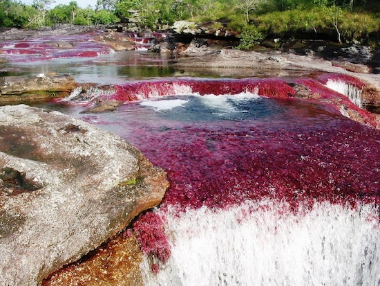 Самая красивая река в мире — это «река пяти цветов» Каньо Кристалес (10 фото + текст)