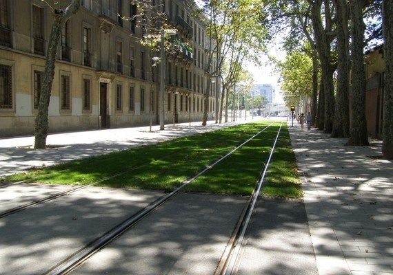Трава на трамвайных путях (16 фотографий), photo:1