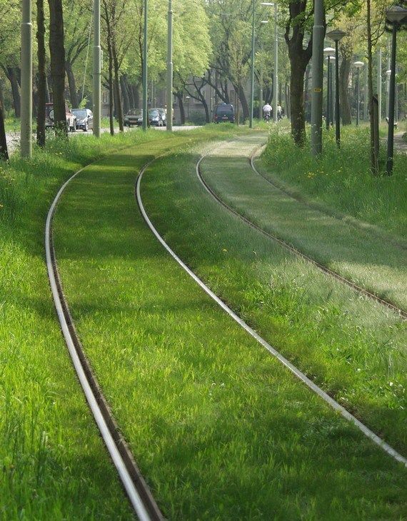 Трава на трамвайных путях (16 фотографий), photo:4