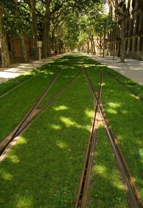 Трава на трамвайных путях (16 фотографий), photo:5