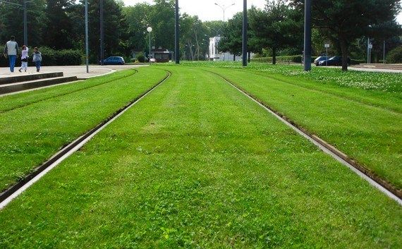 Трава на трамвайных путях (16 фотографий), photo:6