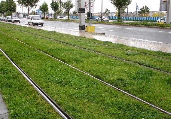 Трава на трамвайных путях (16 фотографий), photo:8