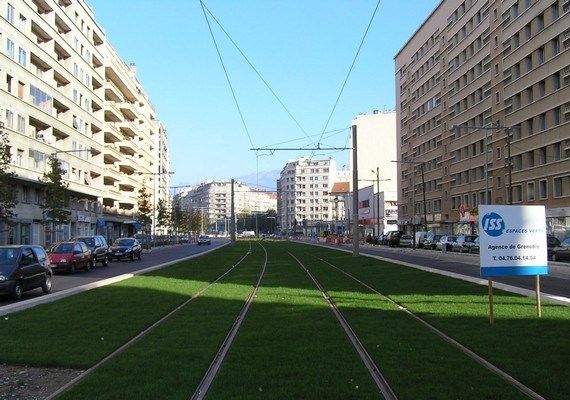 Трава на трамвайных путях (16 фотографий), photo:15