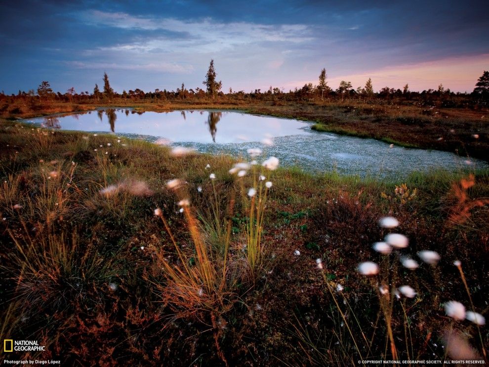 Фотографии National Geographic (51 фотография), photo:11