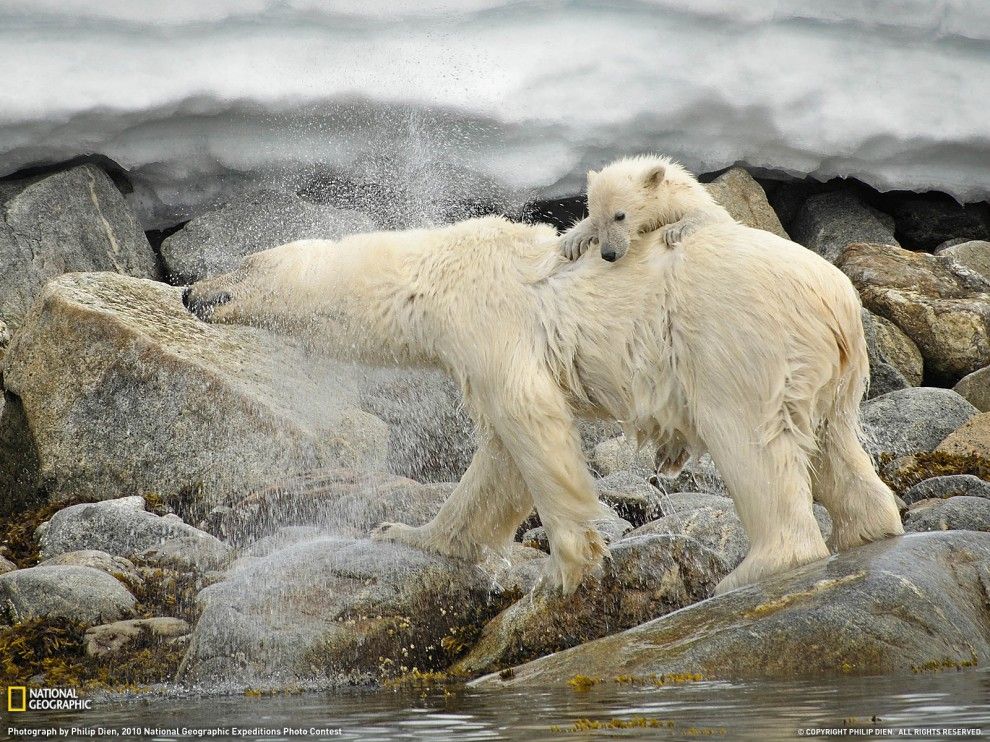 Фотографии National Geographic (51 фотография), photo:23