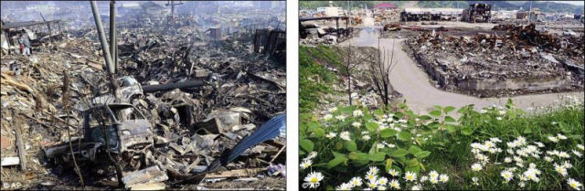Япония восстанавливается после цунами (14 фотографий), photo:4