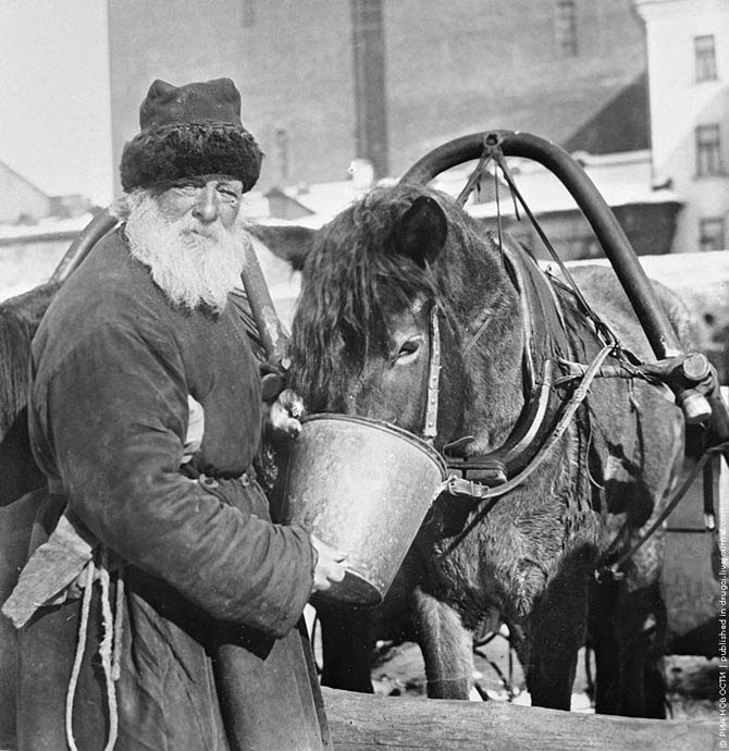 Когда деревья были большими