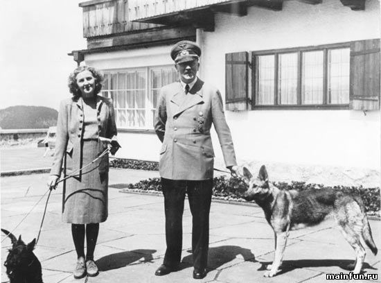 Нацисты учили собак говорить и писать