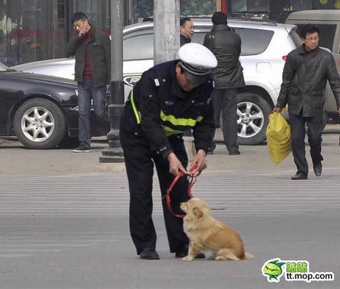Полицейский и собака (6 фото)