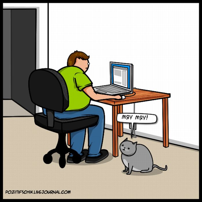 Кот vs Интернет