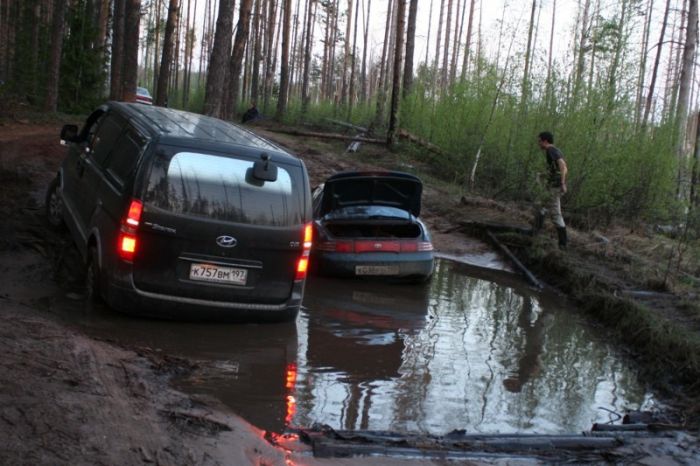 Прикольные картинки (99 фото)