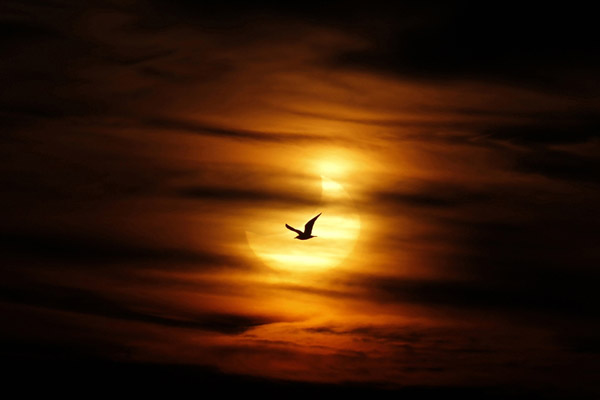 Первое солнечное затмение 2011 года (7 фото)