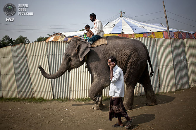 Жизнь в бангладешском цирке