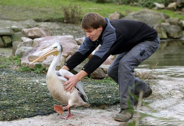 ПОДБОРКА ФОТОПРИКОЛОВ