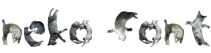 Кошачья типографика