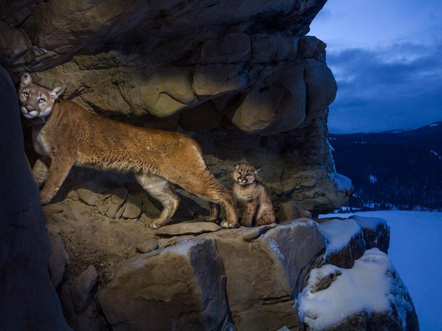 Лучшие фотографии National Geographic за январь 2014