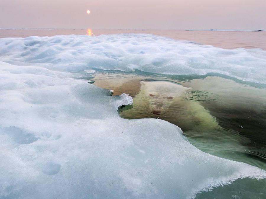 Лучшие фотографии National Geographic за январь 2014