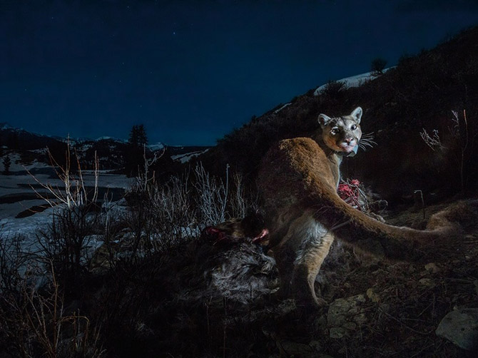 Лучшие фотографии National Geographic января 2014 года