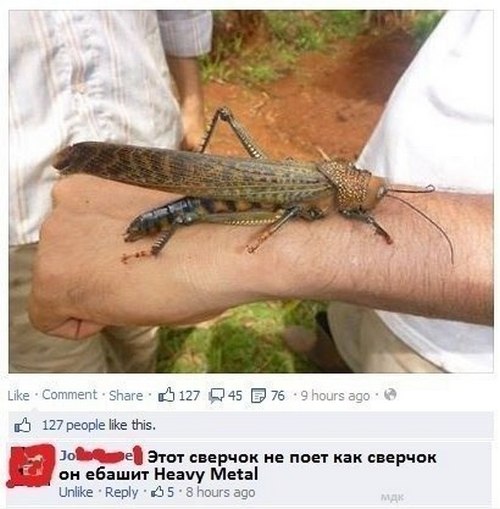 Смешные комментарии