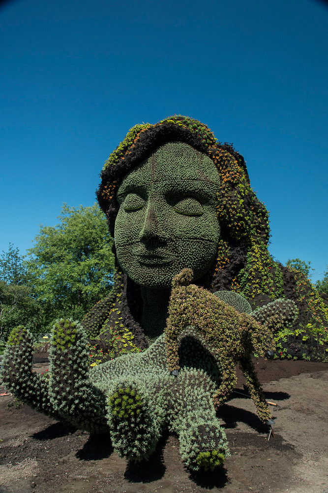Монументальные скульптуры растений