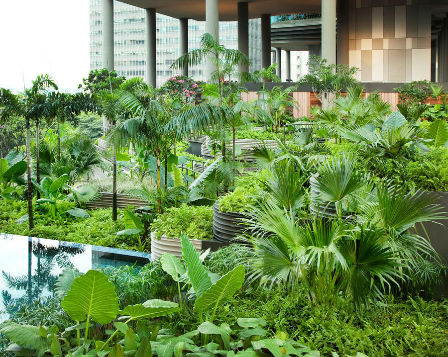 В этом отеле Сингапура самые крутые высотные сады