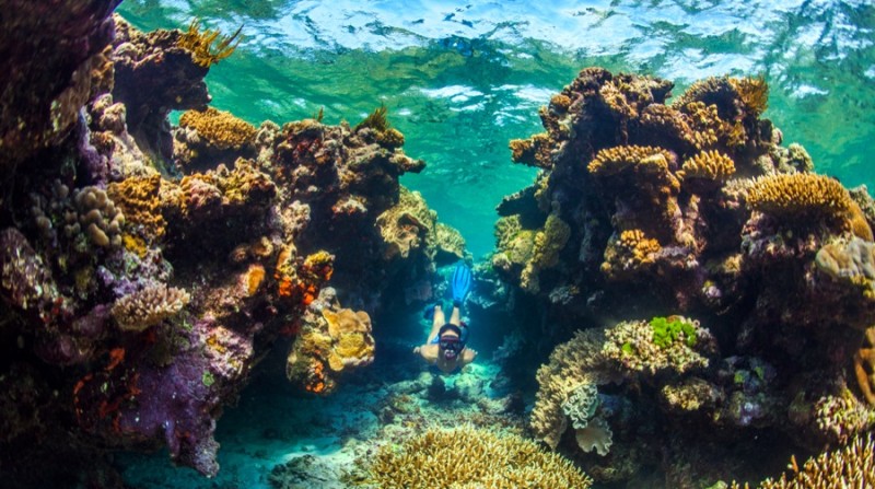 Австралийский Большой Барьерный риф