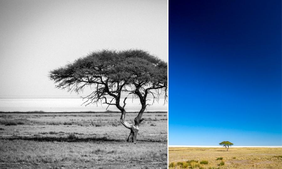 Путешествуя по Намибии (20 фото)