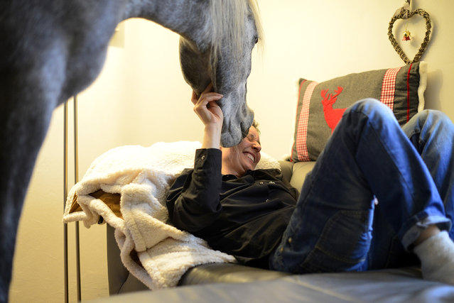 Доктор делит дом со своей лошадью