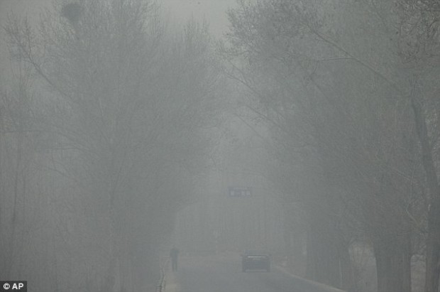 Из-за смога в Пекине остановился процесс фотосинтеза у растений