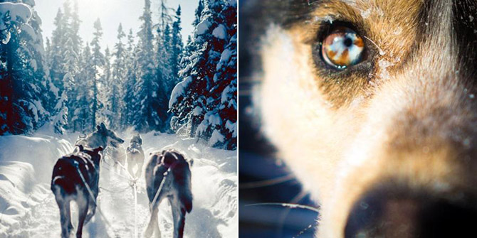 Охота за Северным сиянием в Фэрбенкс на Аляске