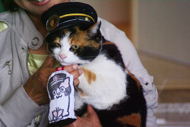 В Японии живёт кошка-смотритель железнодорожной станции