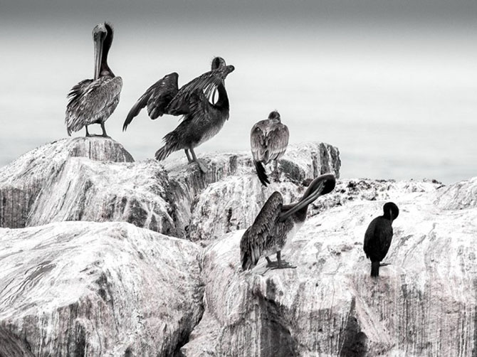 Лучшие фотографии National Geographic марта 2014