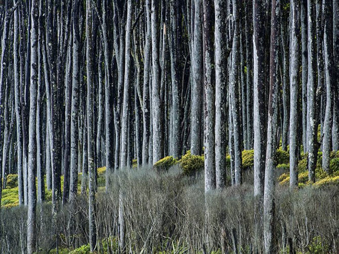 Лучшие фотографии National Geographic марта 2014