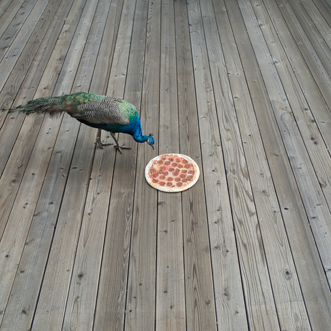 Фотосерия "Пицца на свободе" от Jonpaul Douglass