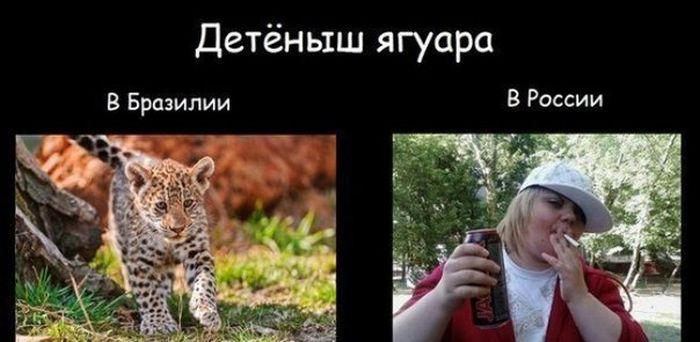 Позитивная фотоподборка