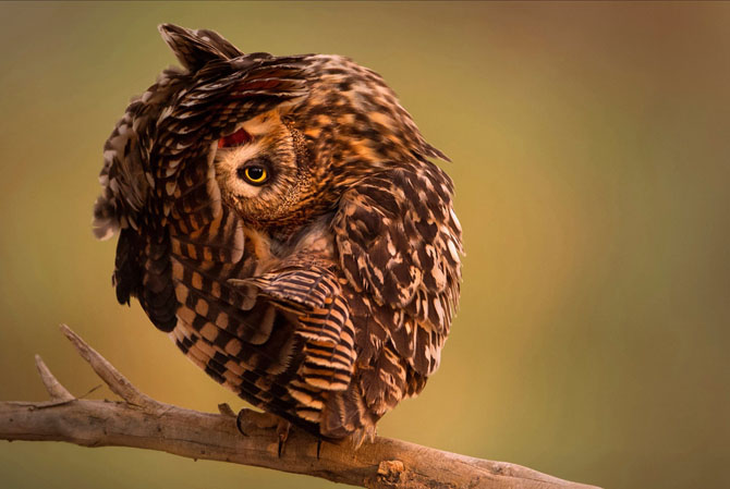 Лучшее с конкурса фотографий National Geographic Traveler 2014