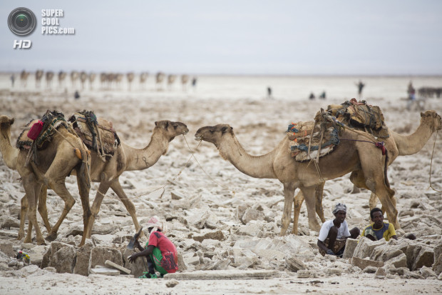 Mining the salt of the earth