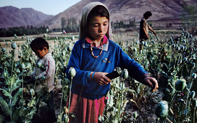 Афганистан в объективе Стива Мак-Карри