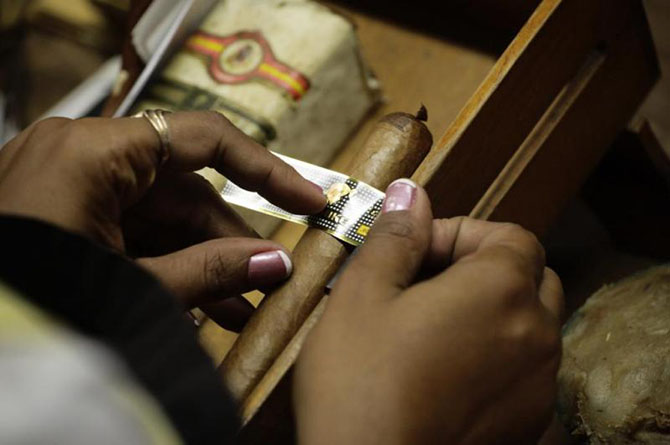 Процесс создания лучших кубинских сигар