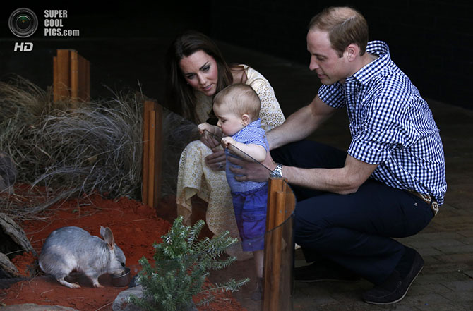 Приключения принца Уильяма и Кейт Миддлтон в Австралии