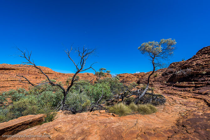 Прогулка по Королевскому каньону в Австралии